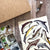 Alexia Claire | Dolphins of Britain | Postcard | Conscious Craft
