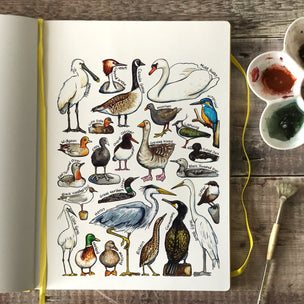 Alexia Claire | Water Birds of Britain | Postcard | Conscious Craft