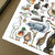 Alexia Claire | Water Birds of Britain | Postcard | Conscious Craft