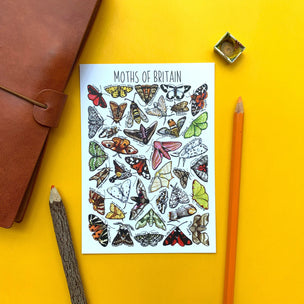 Alexia Claire | Moths of Britain | Postcard | Conscious Craft