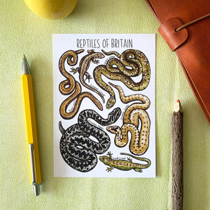 Alexia Claire | Reptiles of Britain | Postcard | Conscious Craft