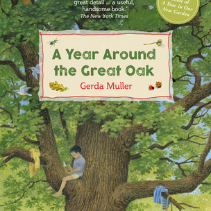 A Year Around The Great Oak | Conscious Craft