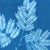 Sunprint Kit | Small
