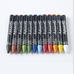 Aquacolor Crayons in 12 Colours by Lyra | Conscious Craft