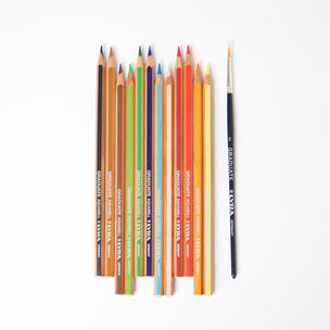 Lyra Graduate Aquarelle Coloured Pencils 12 | Conscious Craft