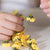 Buttercup Crown | Conscious Craft