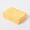 Painting Sponge | © Conscious Craft 