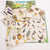 Moulin Roty Discovery of Birds Box | Conscious Craft