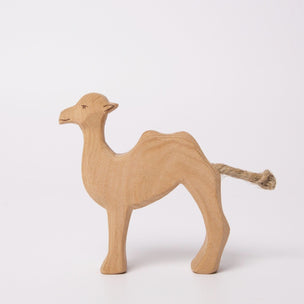 Ostheimer Camel Young | © Conscious Craft