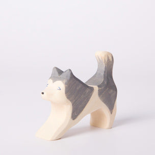 Ostheimer Sled Dog Running | Conscious Craft