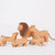 Ostheimer Lion Family | Wild Animal | © Conscious Craft