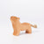 Ostheimer Lion Cub Head Up | Wild Animal | © Conscious Craft