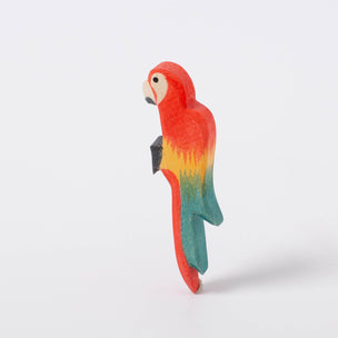 Ostheimer Multicoloured Parrot | Wild Animals of the World | © Conscious Craft