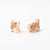 Ostheimer St Bernard Puppies | © Conscious Craft