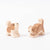 Ostheimer St Bernard Puppies | © Conscious Craft