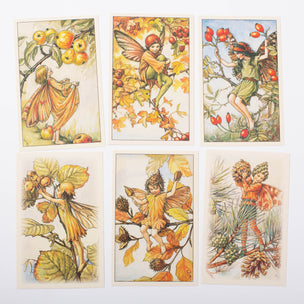 Flower Fairies 100 Postcards | Cicely Mary Barker | ©️Conscious Craft