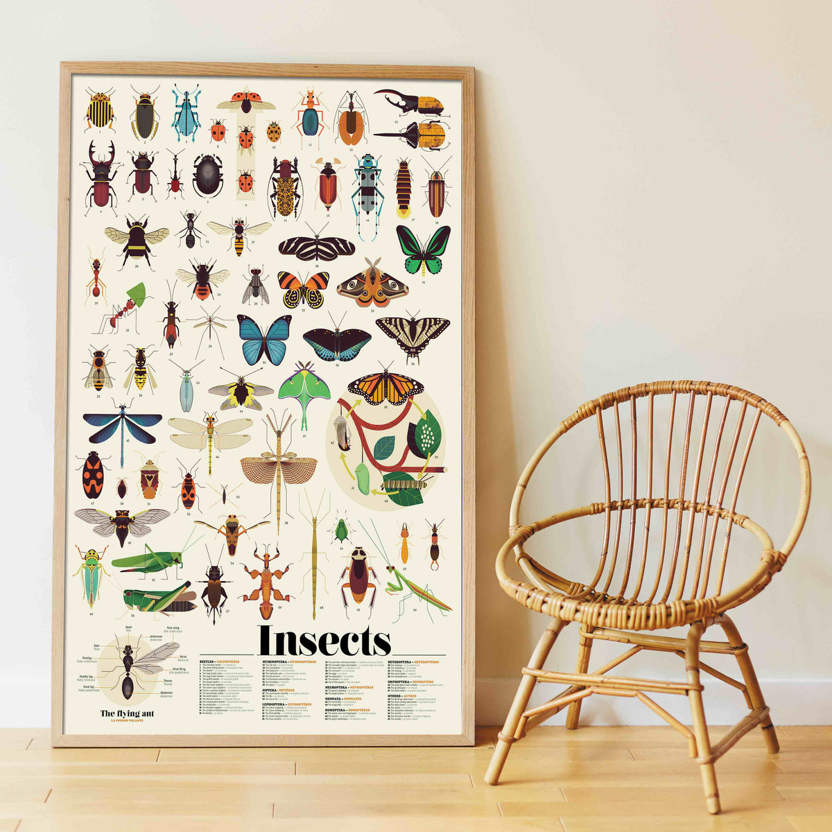 Conscious Insect Insects Re-Usable Activity Set | Poppik | Conscious Craft