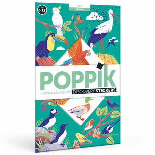 Poppik Birds Activity Poster | Conscious Craft