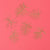 Pressed Flower | Cypress Vine | © Conscious Craft