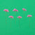 Pressed Flower | Ammi Pink | ©Conscious Craft