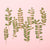 Pressed Plants | Carnation |. ©Conscious Craft