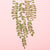 Pressed Plants | Carnation |. ©Conscious Craft