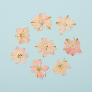 Pressed Flower | Delphinium Pink | ©Conscious Craft