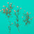 Pressed Flower | Gypsophila Red | Conscious Craft