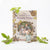 The complete brambly hedge story book 40 year anniversary edition