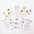 Tree Vision Know Your Trees in 30 Cards | © Conscious Craft